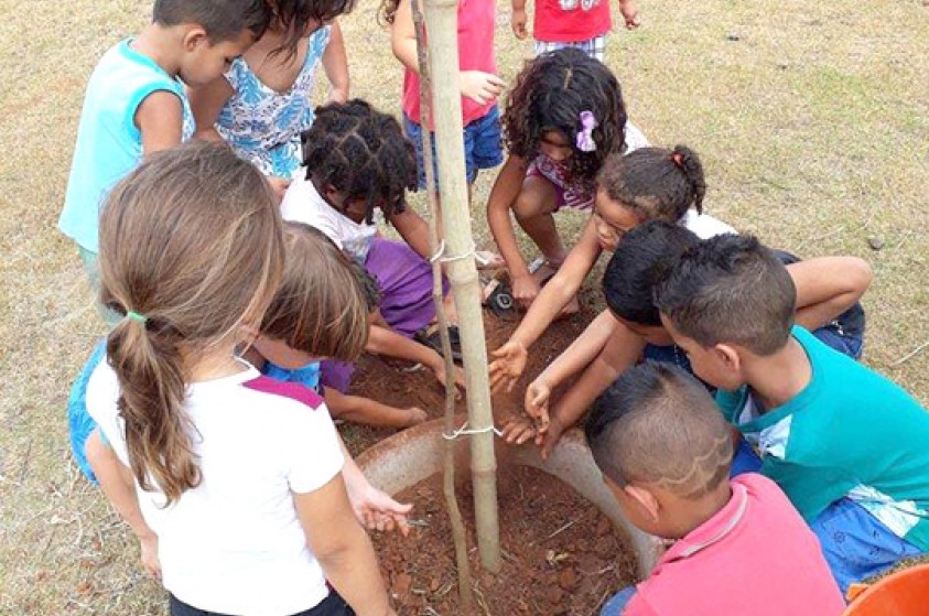 Centro Infantil realiza plantio de oito ipês-rosa