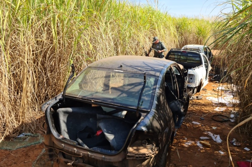 GCM localiza quatro veículos desmanchados na zona rural de Limeira