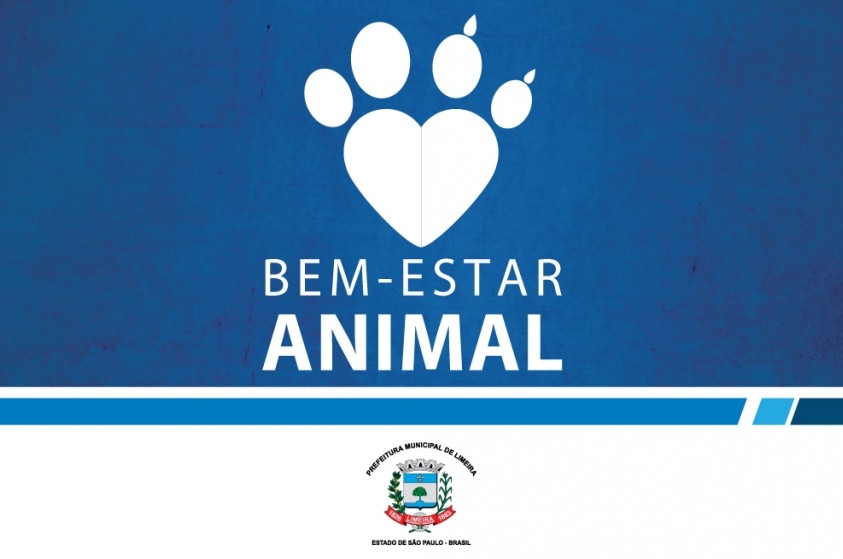 Evento de adoção de animais será realizado no sábado