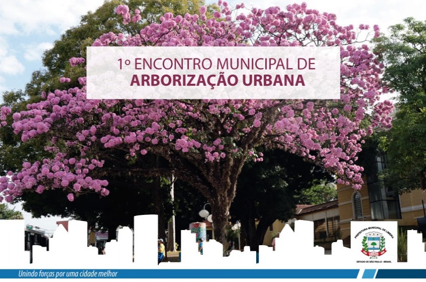 Metas do plano de arborização urbana serão discutidas com a população
