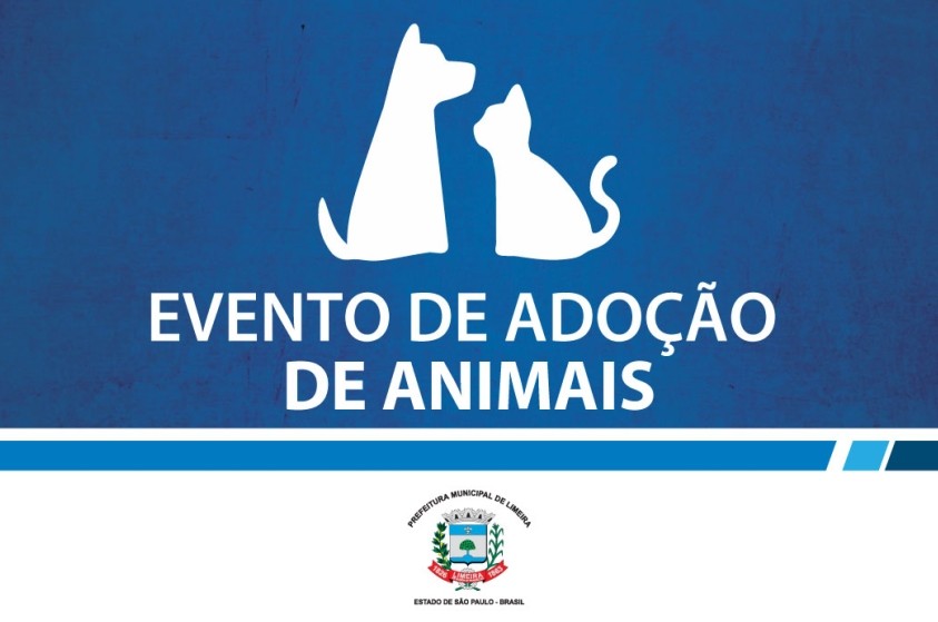 Evento de adoção de animais recebe 37 pessoas; 6 foram adotados
