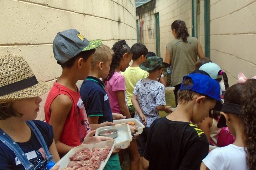 Crianças auxiliam tratadoras a alimentar animais