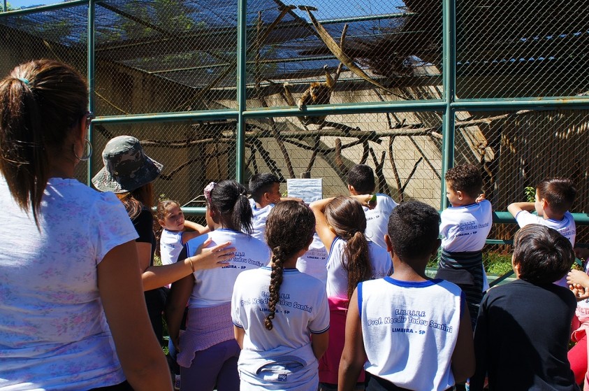 Estudantes visitam o Zoo no Dia Internacional da Floresta