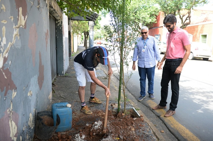 Prefeitura lança programa de plantio de árvores frutíferas